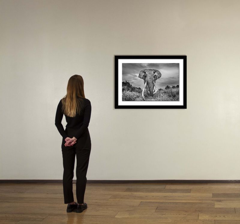 24 x 36 in., edition of 15